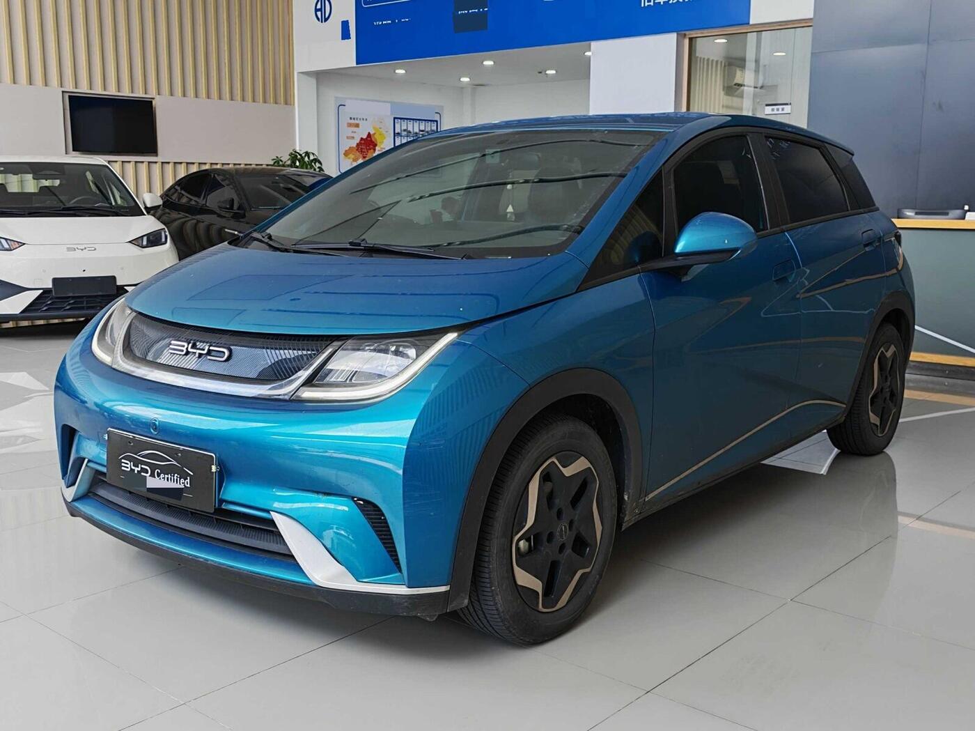 BYD 2021 Dolphin 405km Freedom Edition