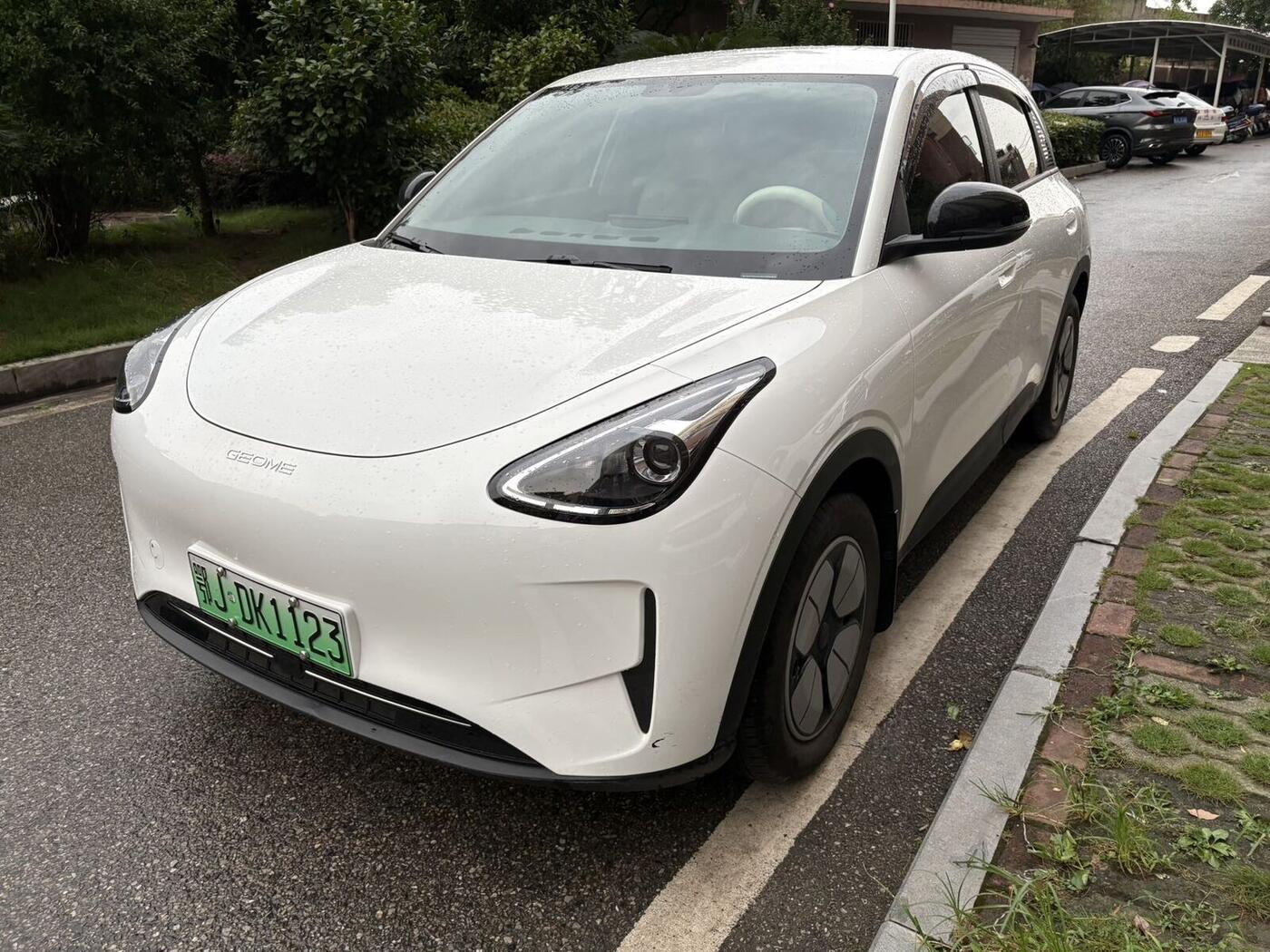 Geely 2025 Star Wish 310km Youth Edition