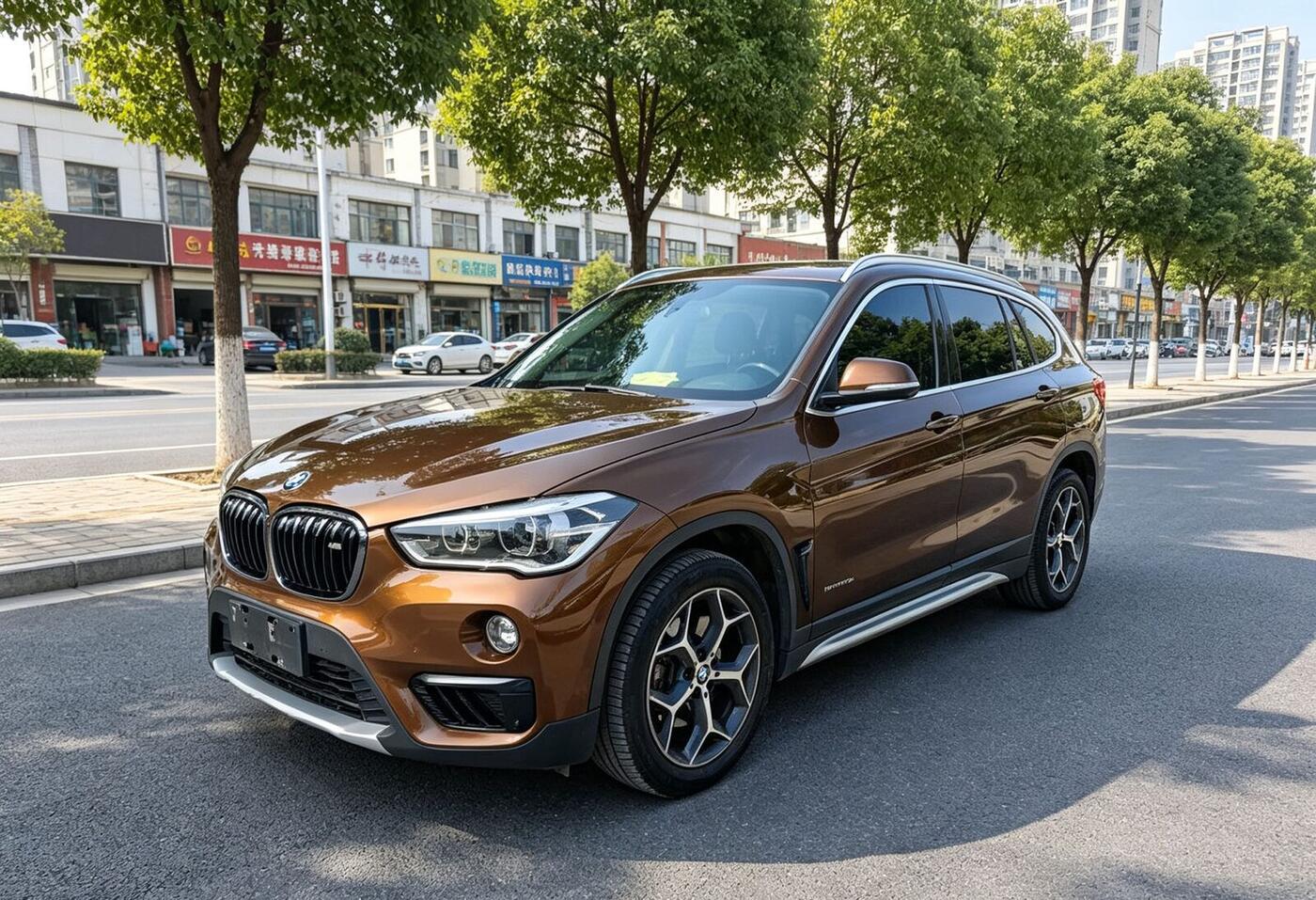 BMW 2018 X1 sDrive20Li 2.0T Leading Edition