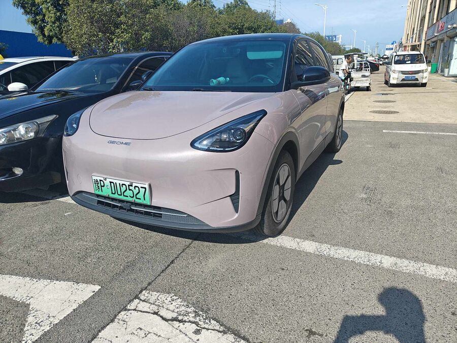 Geely Geely 2025 Star Wish 310km Youth Edition used car for export from China