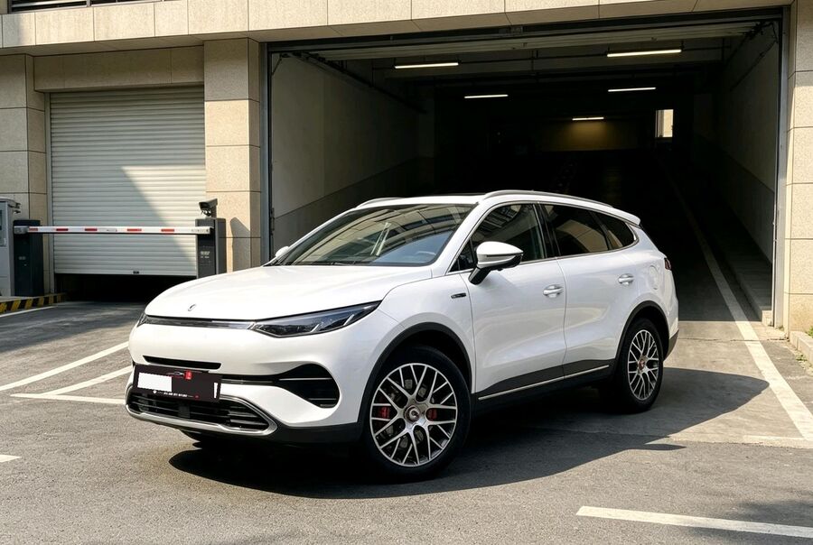 Denza DENZA 2020 Denza X PHEV 2.0T Classic Edition used car for export from China