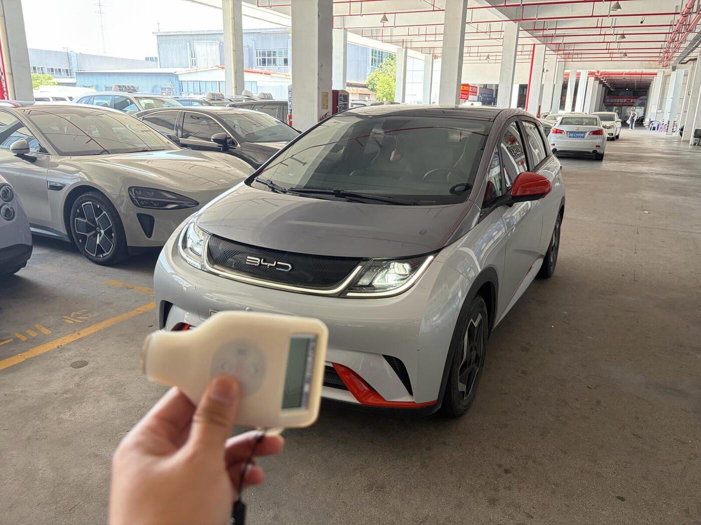 BYD 2021 Dolphin 405km Fashion Edition