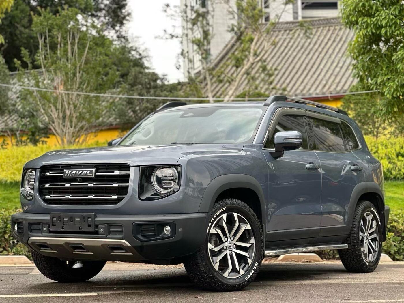 Haval Dargo 2021 Big Dog 1.5T Border Collie “Wang Cai” Edition