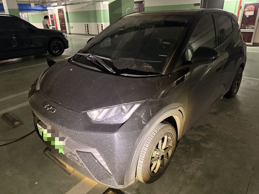 Byd BYD 2024 Seagull Glory Version 305km Dynamic Version used car for export from China