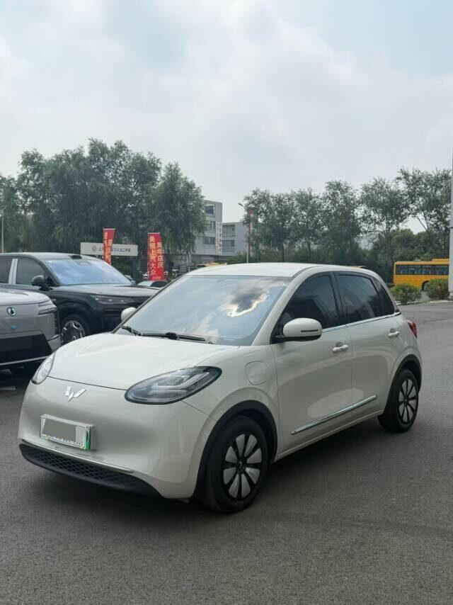 Wuling Bingo 2023 Bingguo 333km Lingxi Interconnect+ Model
