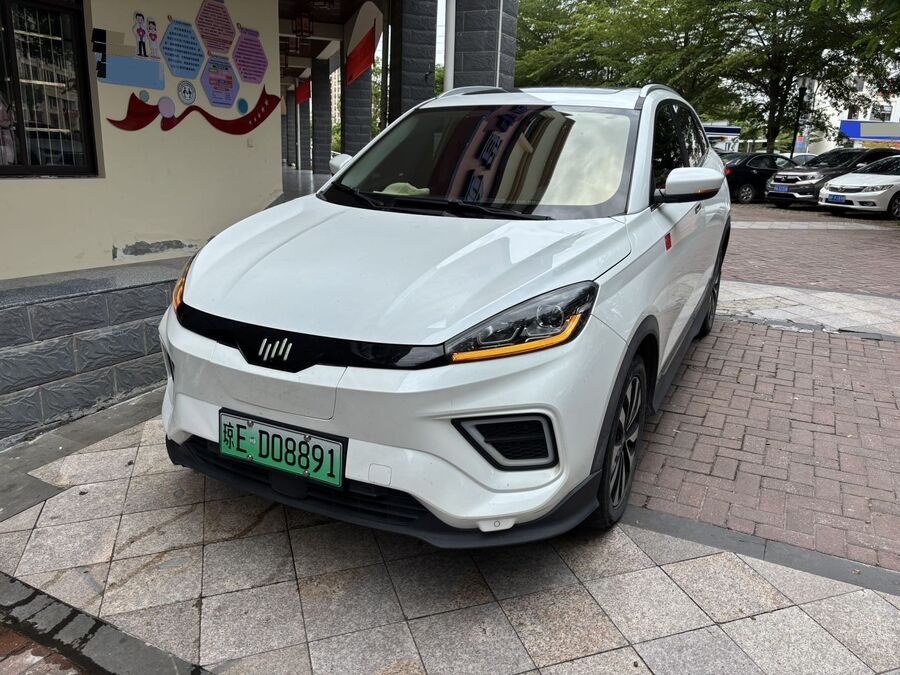 2020 Weltmeister 2020 EX5-Z Fun Dynamic Edition used car for export from China