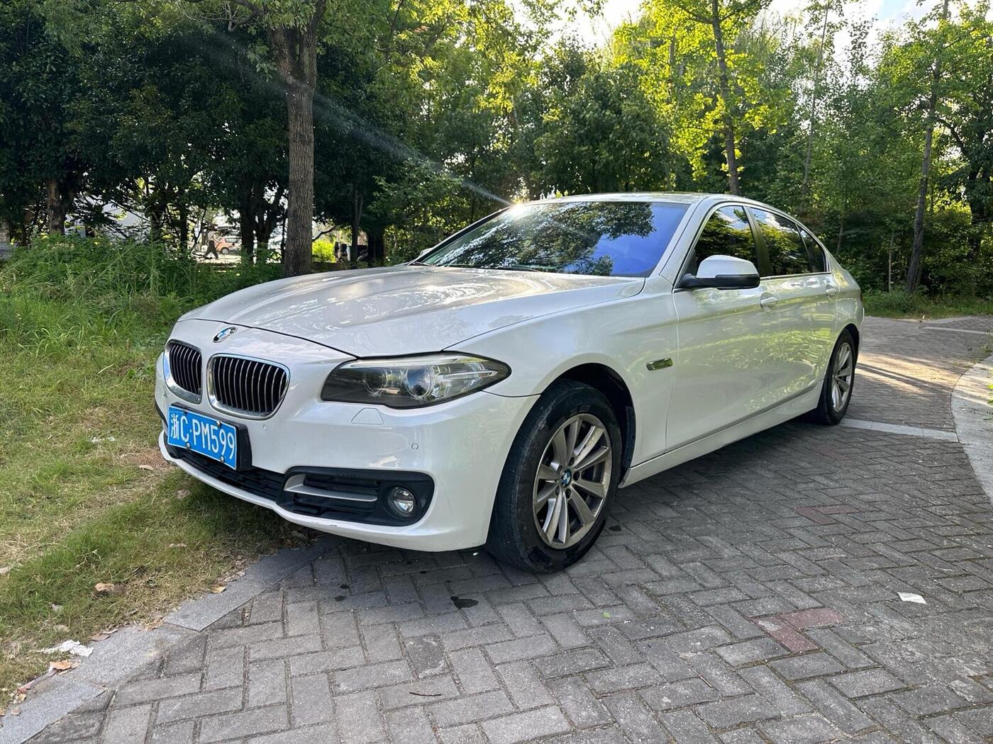 BMW 5 Series 2017 520Li 2.0T Elegant Model