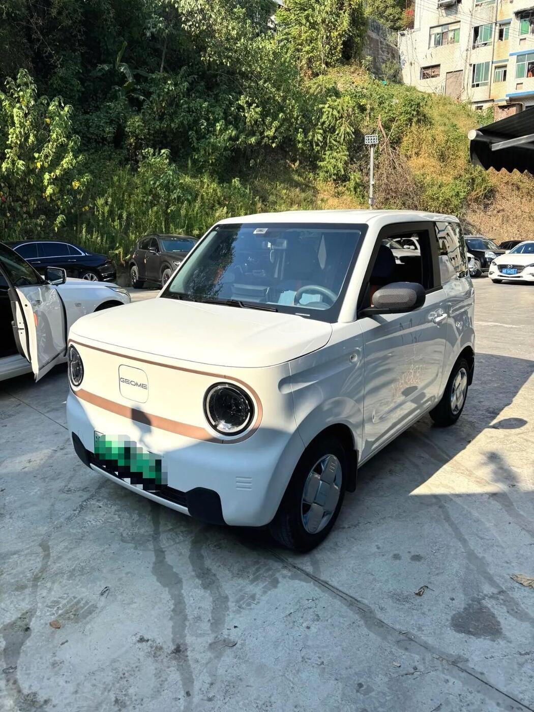 Geely 2024 Panda MINI 200km Endurance Bear