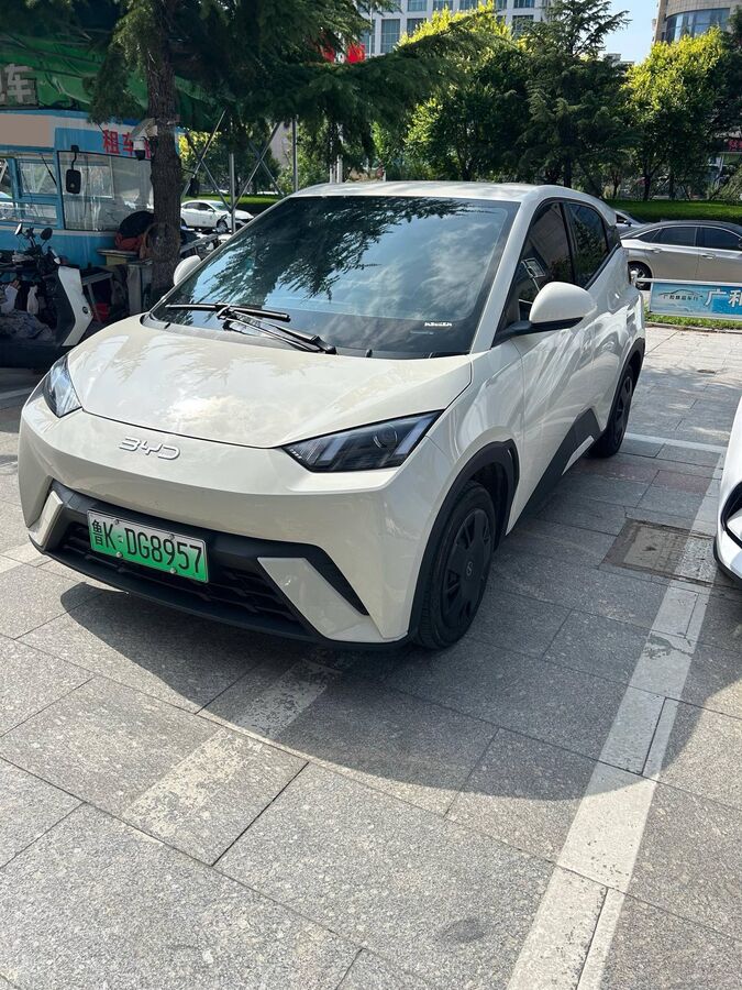 Byd BYD 2025 Seagull 305km Vitality Version used car for export from China