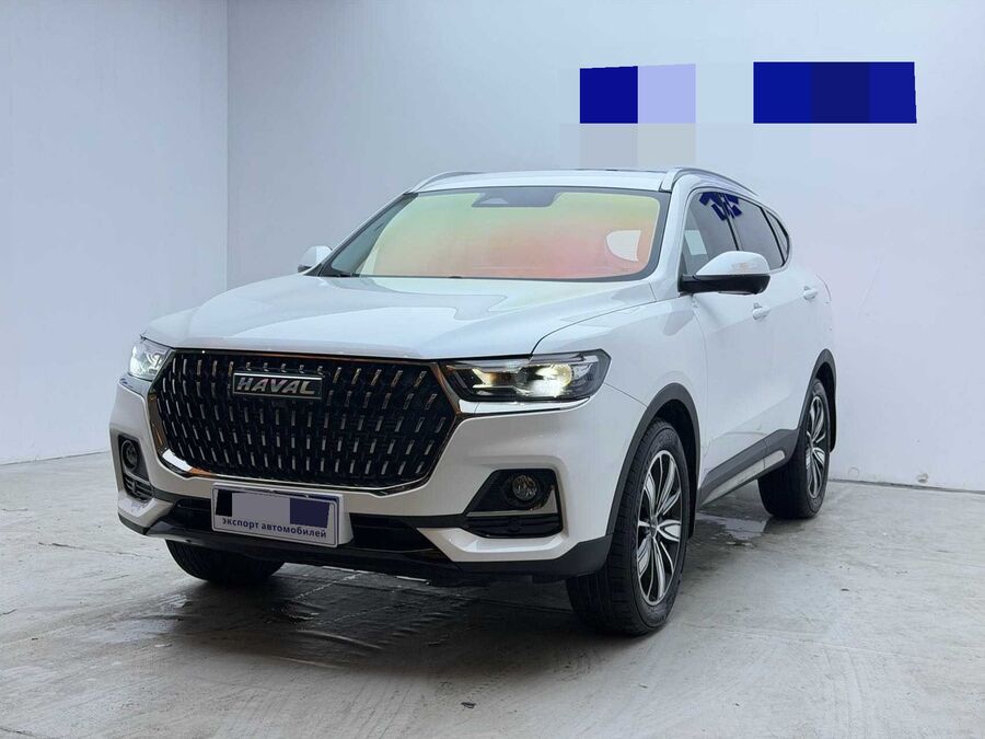 Haval Haval 2023 H6 1.5T National Trend Edition Champion Version used car for export from China