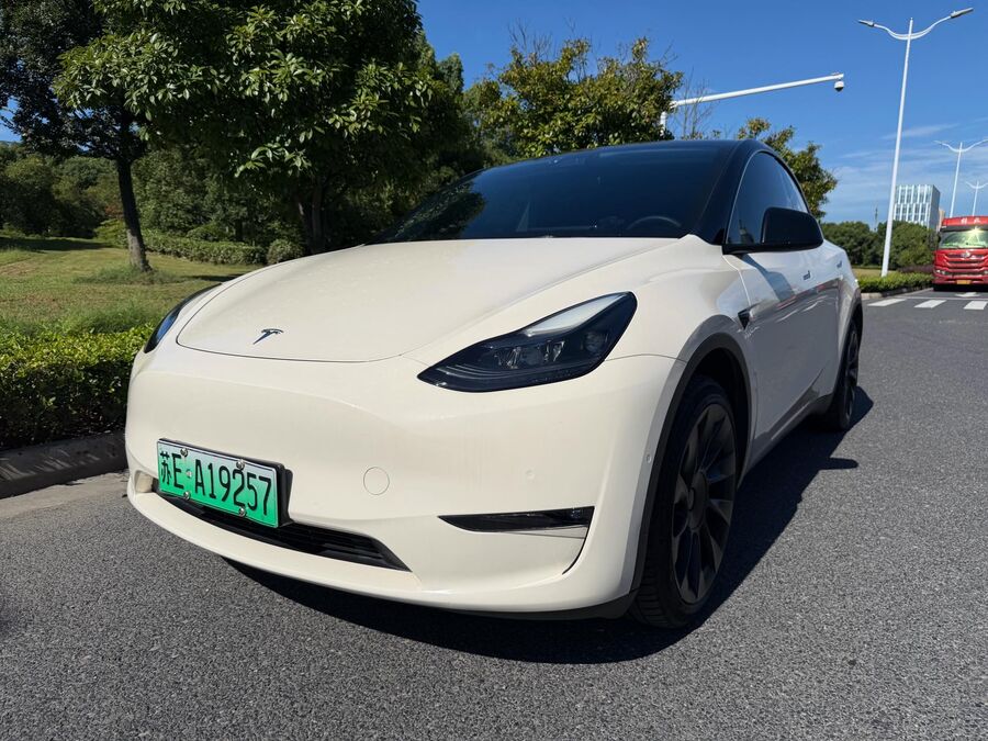 2021 Tesla 2021 Model Y Long Range All-Wheel Drive used car for export from China