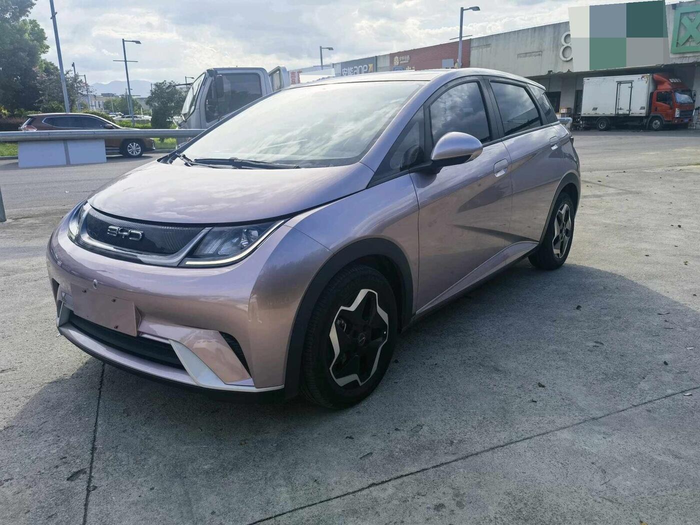 BYD 2021 Dolphin 405km Fashion Edition