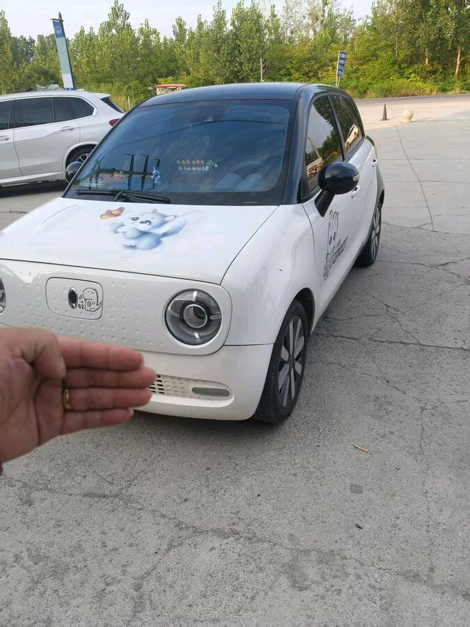 2021 ORA 2021 R1 (Black Cat) 301km Base Model used car for export from China