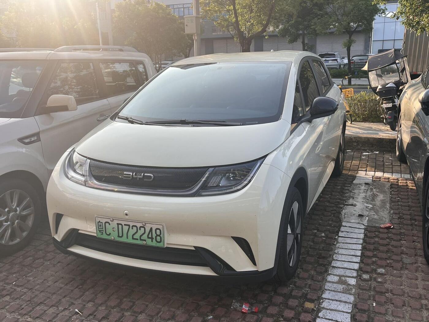 BYD 2023 Dolphin 420km Free Edition