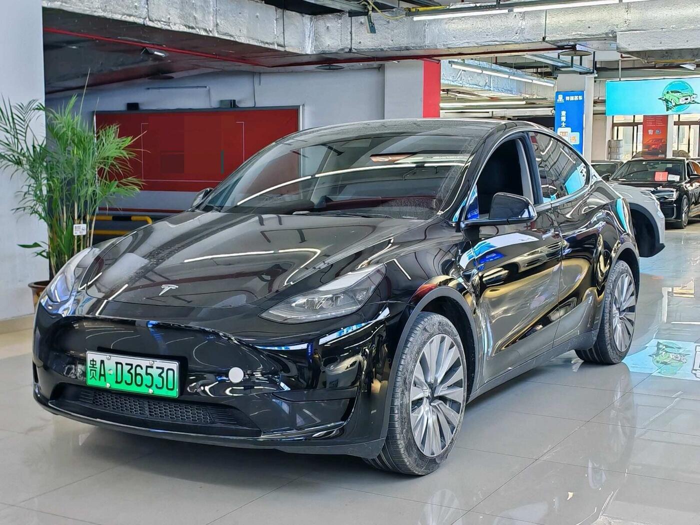 Tesla 2022 Model Y Rear-Wheel Drive