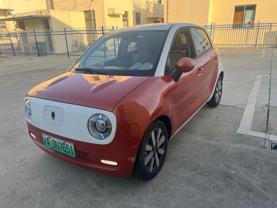 2021 ORA 2021 R1 (Black Cat) 351km Luxury Model used car for export from China