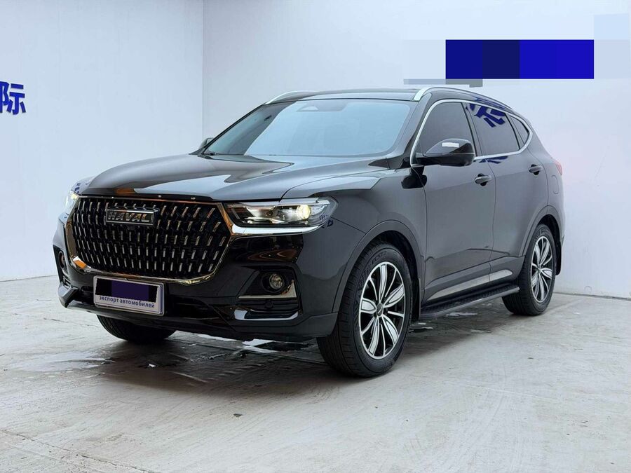 Haval Haval 2023 H6 1.5T National Trend Edition Champion Version used car for export from China