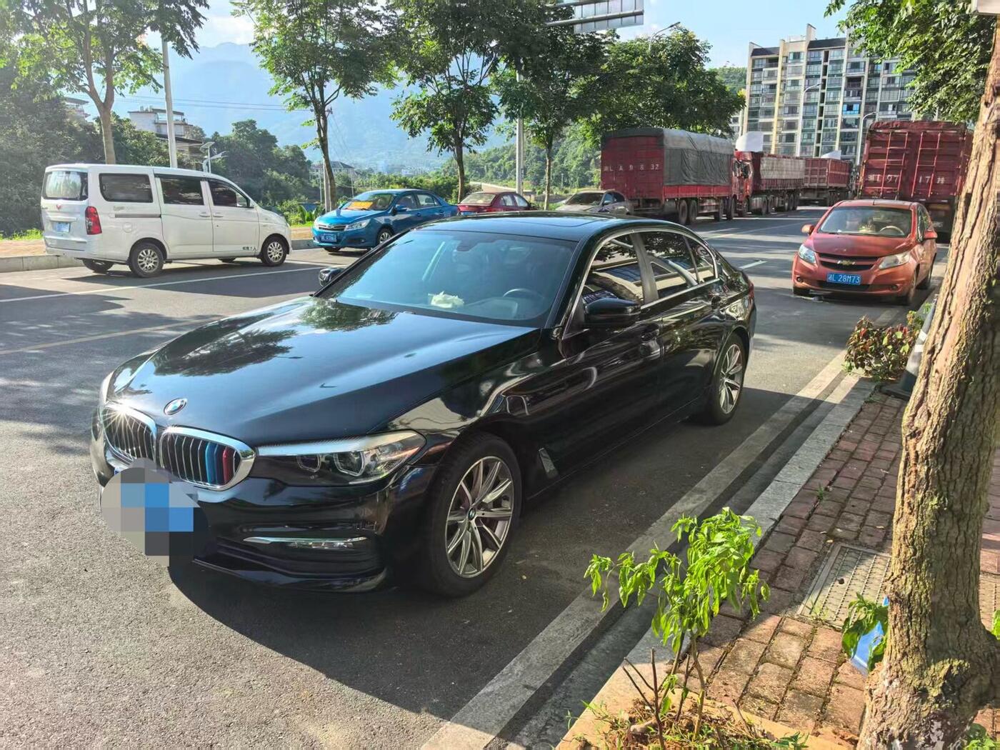 BMW 5 Series 2018 528Li 2.0T Launch Special Edition