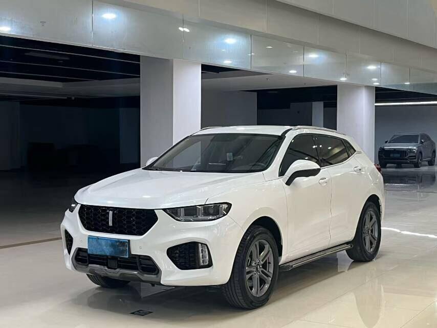 WEY 2019 VV5 2.0T Two-Wheel Drive Ultimate Edition