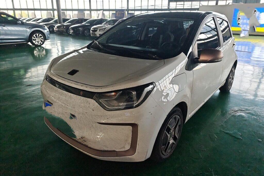 SOL Flower Fairy 2023 Huaxianzi 301km Anniversary Edition Baby’s Breath 45kW